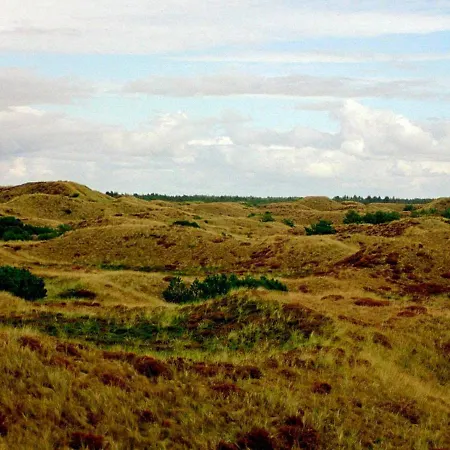 Three-bedroom In 2 * Blåvand